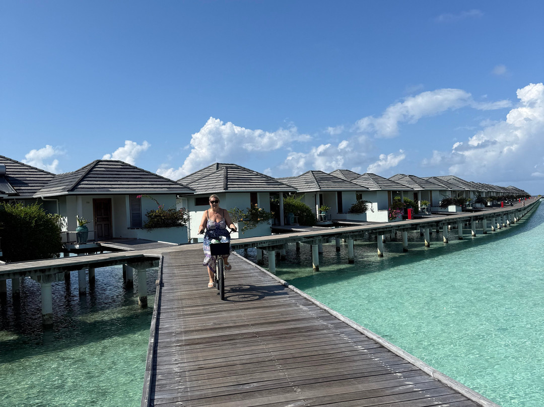 阳光岛别墅公园主图