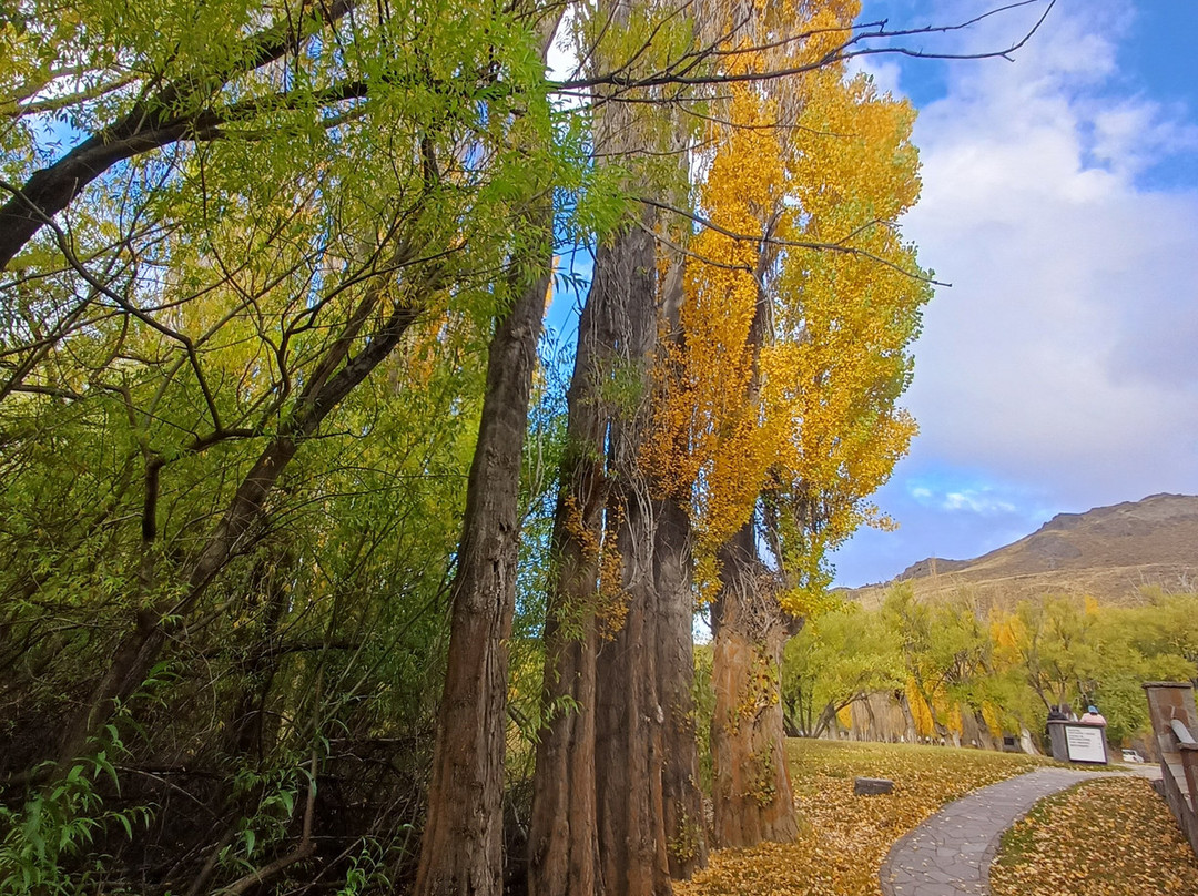 Parque Patagonia-Cochrane必去景点