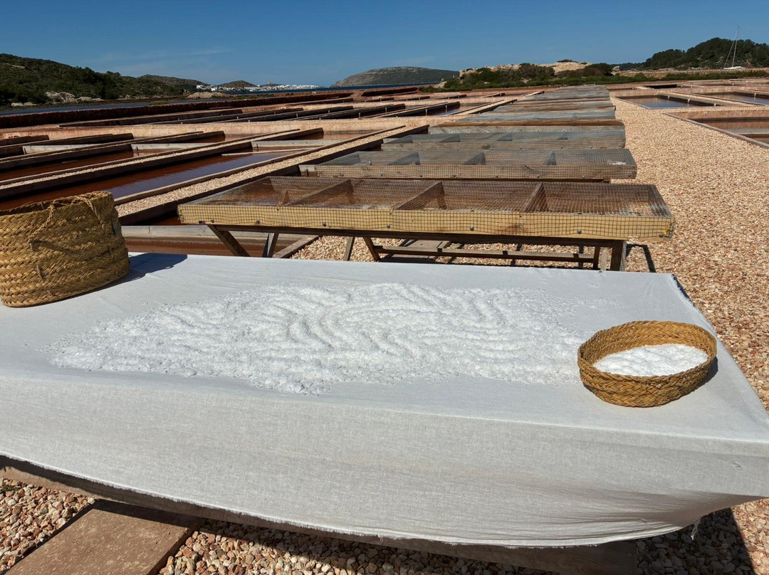 Sal de Menorca - Salinas de La Concepción-Mercadal必去景点