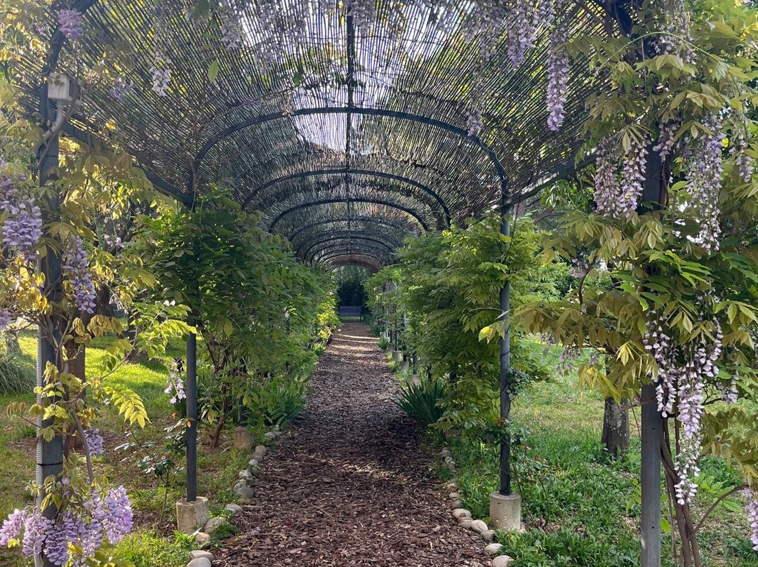 Villa del Parco B&B主图