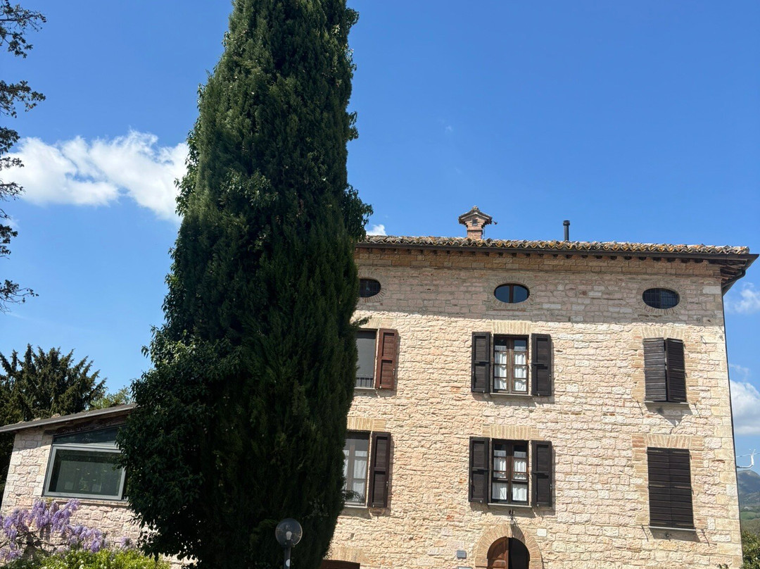 Villa Pascolo主图