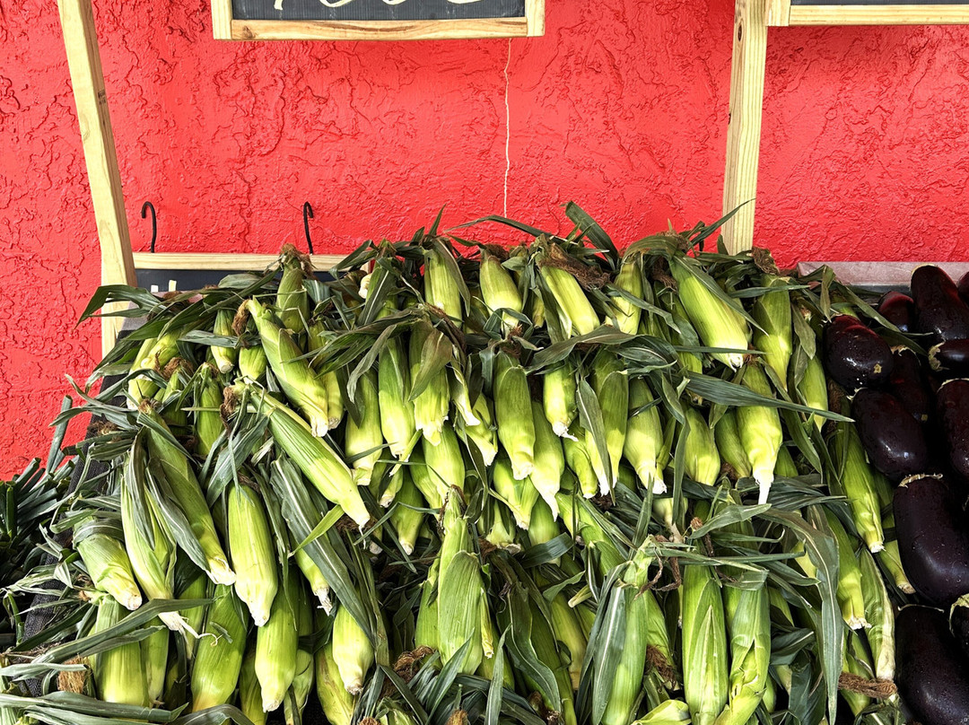 Bedner's Farm Fresh Market-德拉海滩必去景点