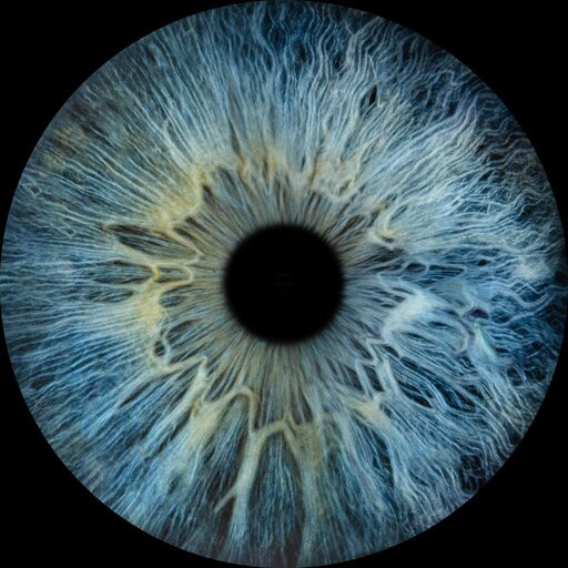 Iris Galerie Mall of the Netherlands-Leidschendam必去景点