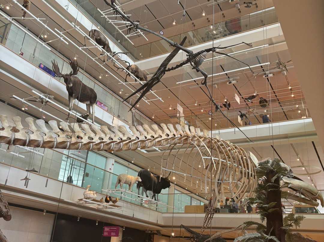 MUSE - Science Museum-特伦托必去景点