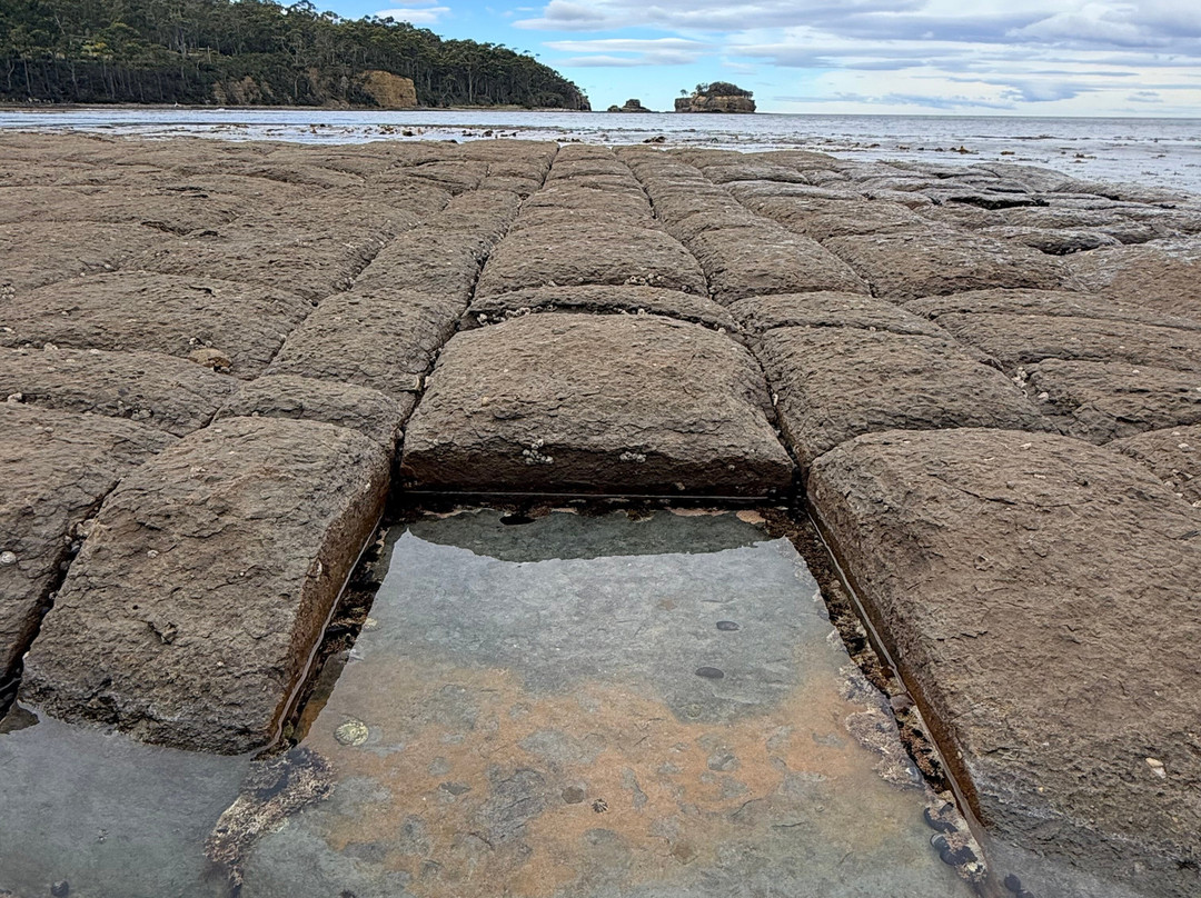 Tessellated Pavement-伊格尔霍克内克必去景点