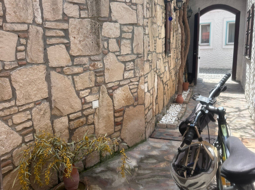 Joyride Bike Tours & Rentals-库萨达斯必去景点