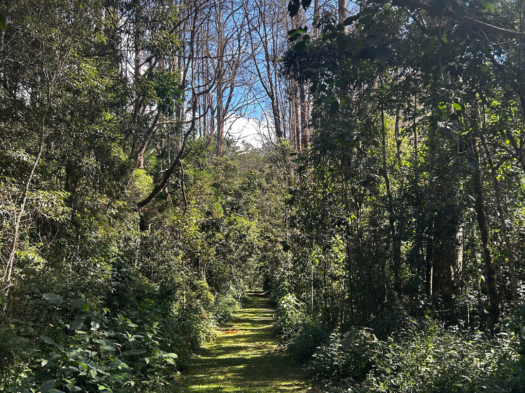 MW Trekking Viagens e Turismo-Sao Jose do Barreiro必去景点