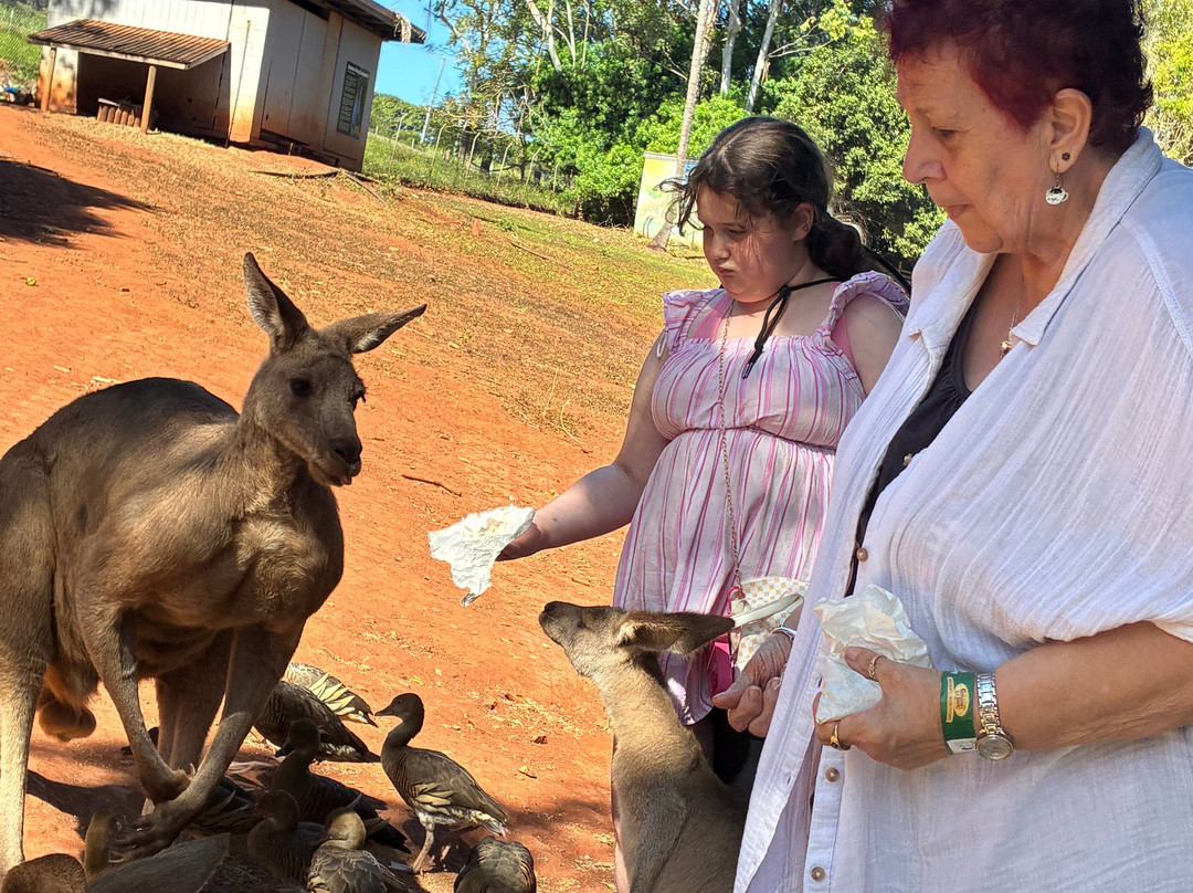 Cooberrie Park Wildlife Sanctuary-Yeppoon必去景点