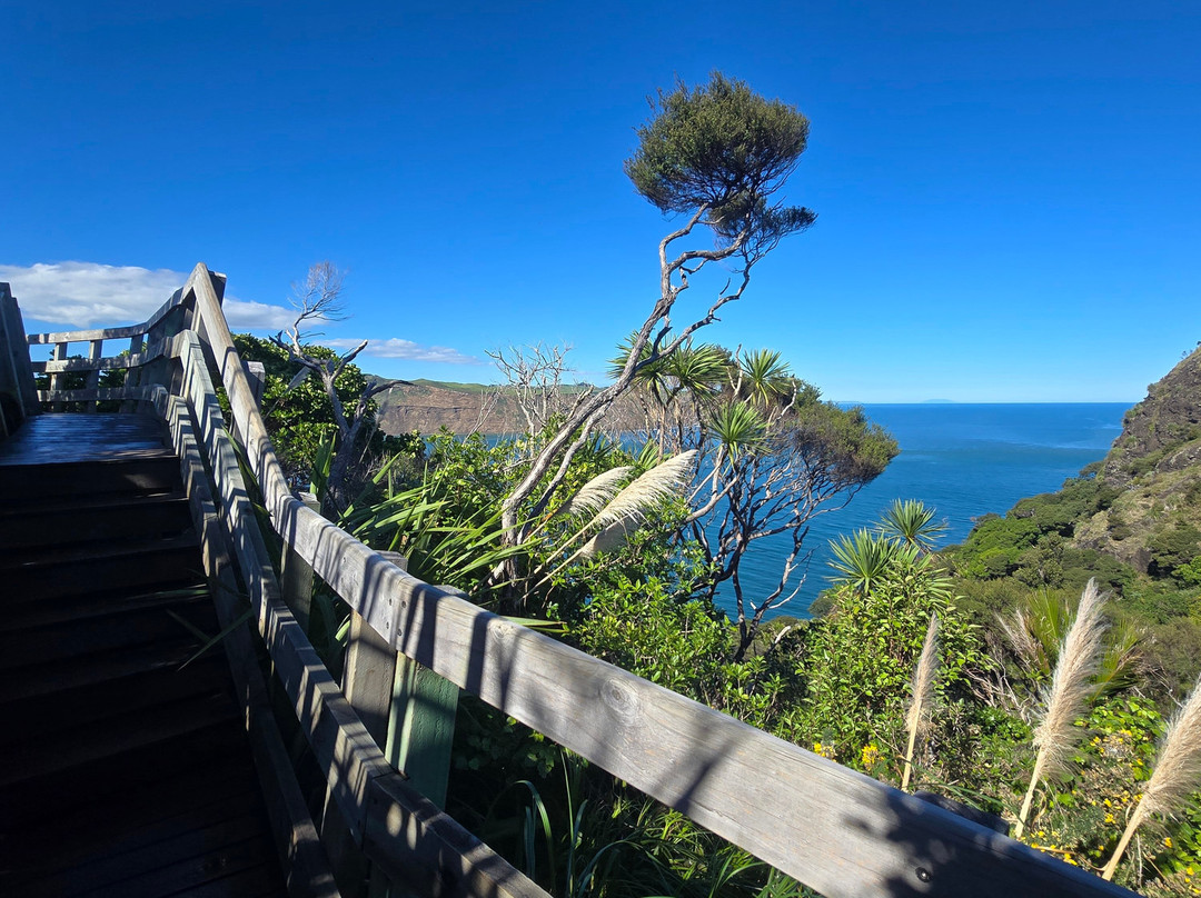 Omanawanui Track-奥克兰中心地区必去景点