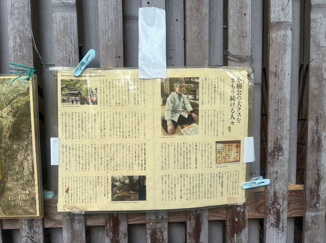 Shonanko Grave-四条畷市必去景点
