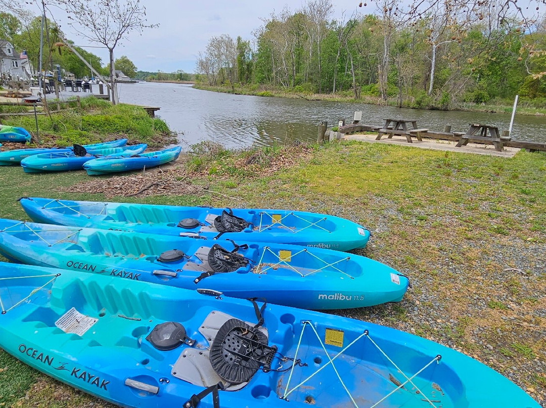 Bay Venture Outfitters-North East必去景点