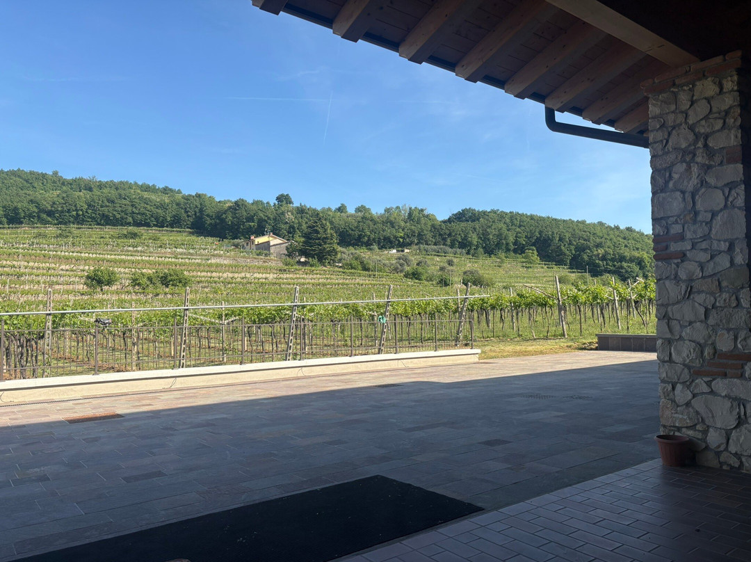 Le Marognole Azienda Agricola-Marano di Valpolicella必去景点