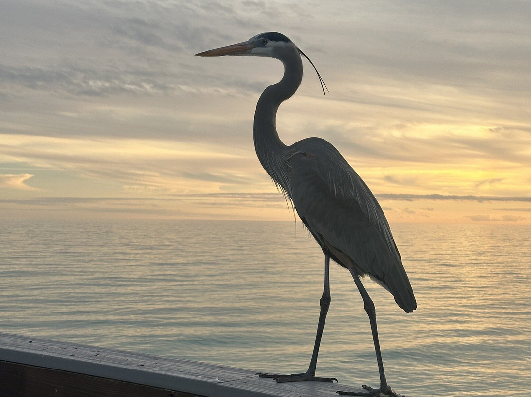 Pensacola Beach-彭萨科拉海滩必去景点
