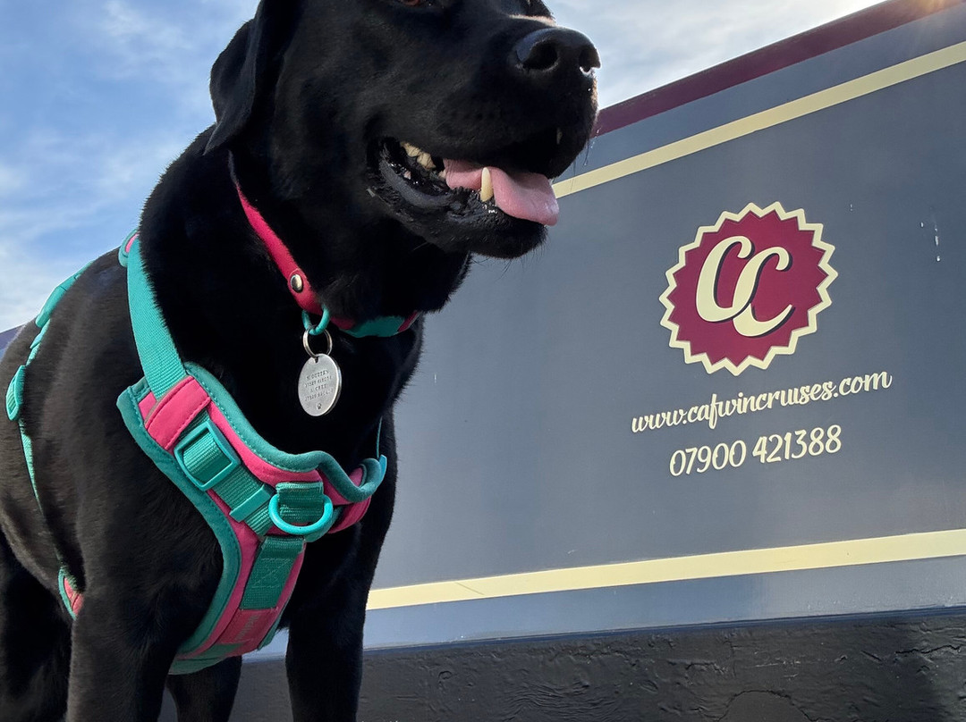Cafwin Cruises Narrowboat Holidays Ltd-Suckley必去景点