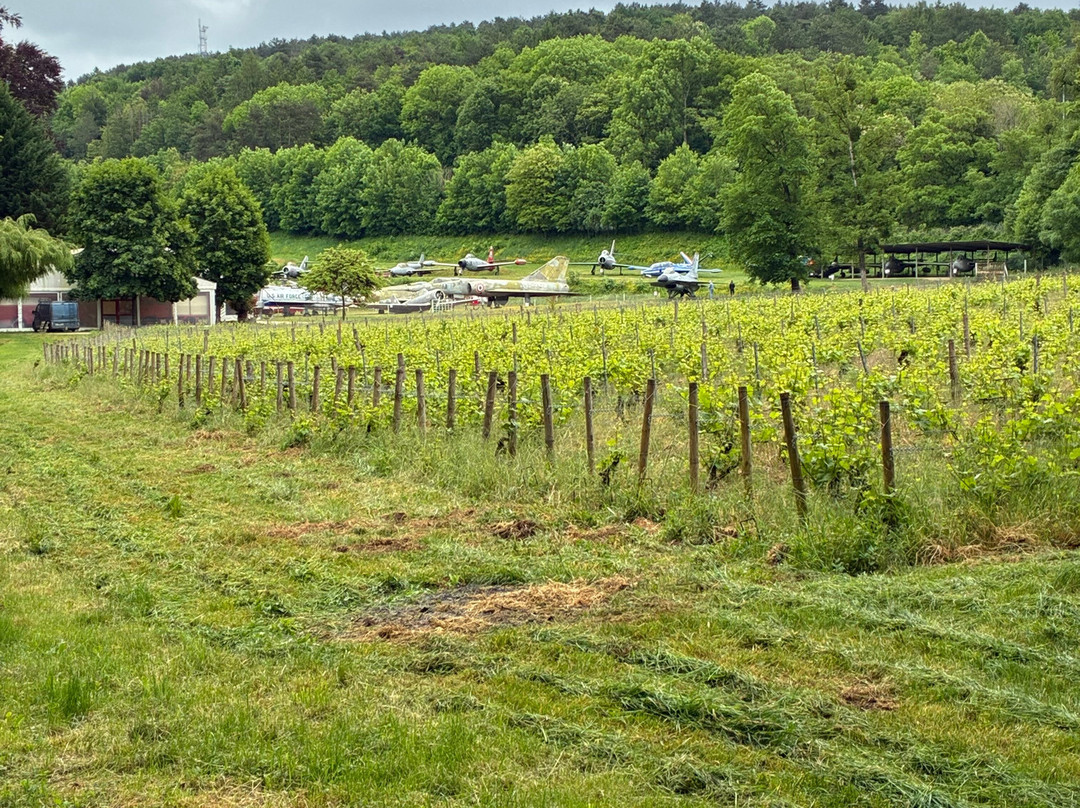 萨维尼-勒勃恩城堡-Savigny-les-Beaune必去景点