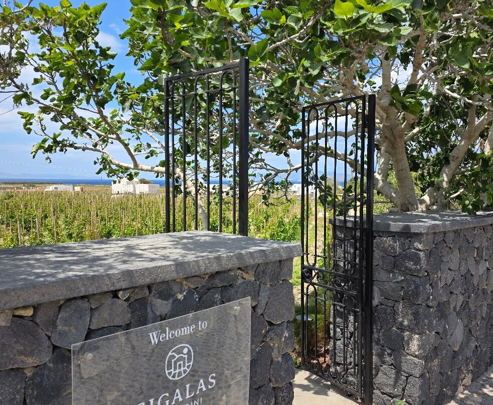 Domaine Sigalas-伊亚必去景点
