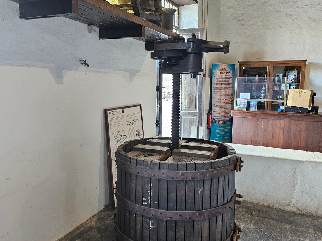Wine Tours Lanzarote-卡门港必去景点
