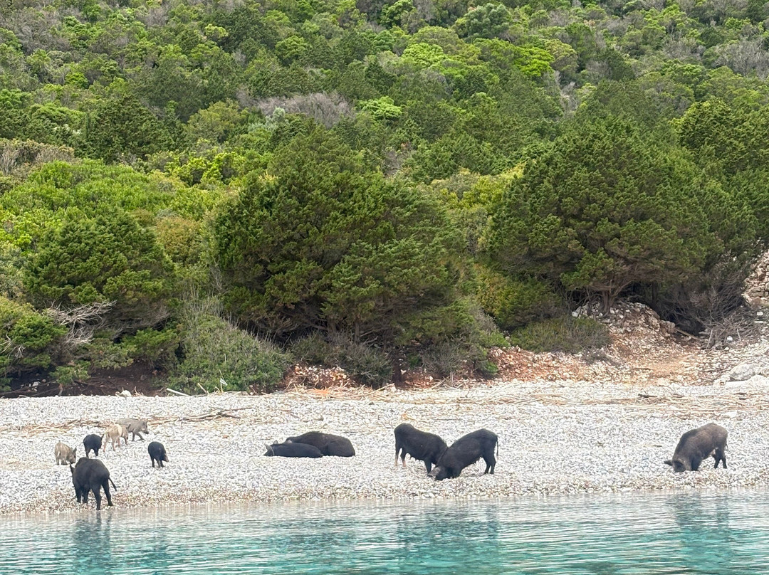 Lefkas Boat-Nidri必去景点