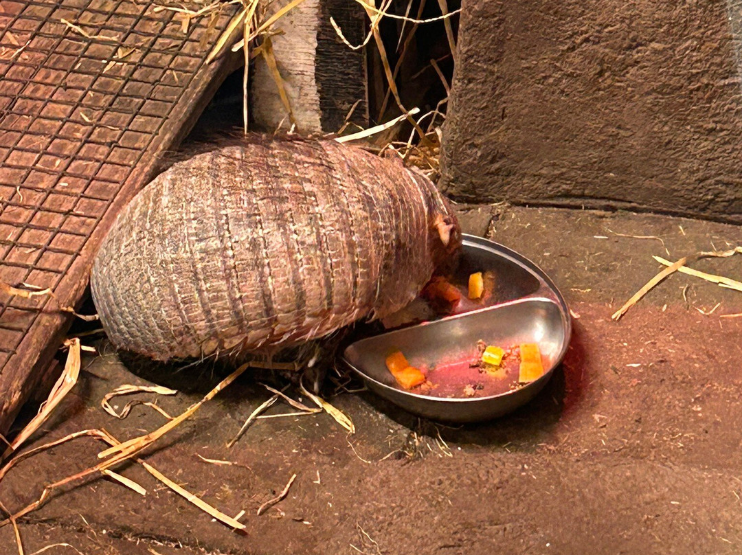 Exmoor Zoo-巴恩斯特珀尔必去景点