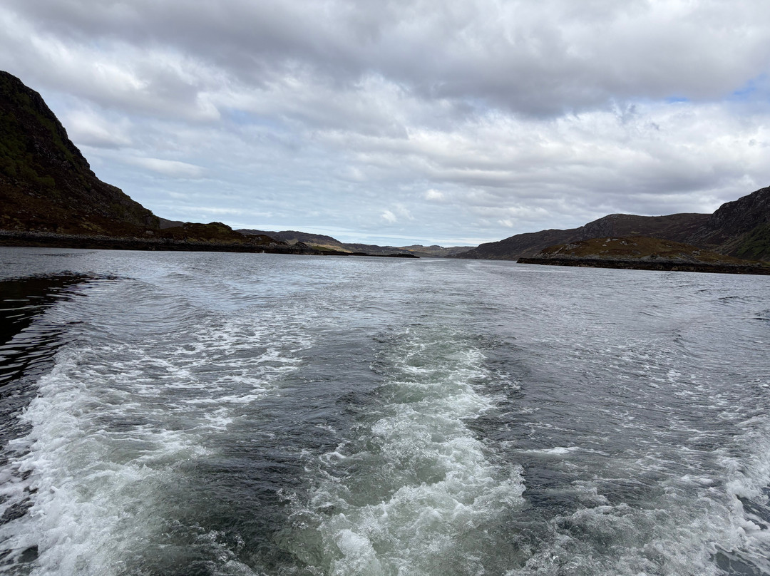 Kylesku Boat Tours-Kylesku必去景点