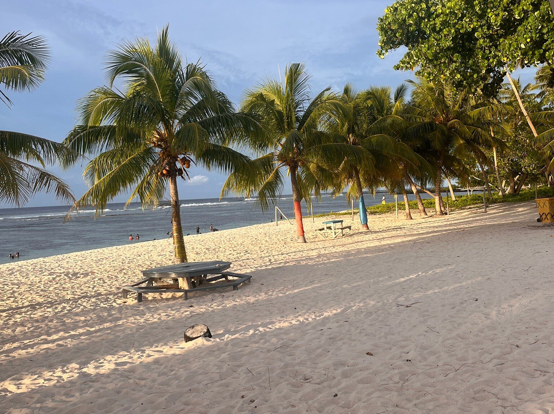 Falealupo Beach Fales主图