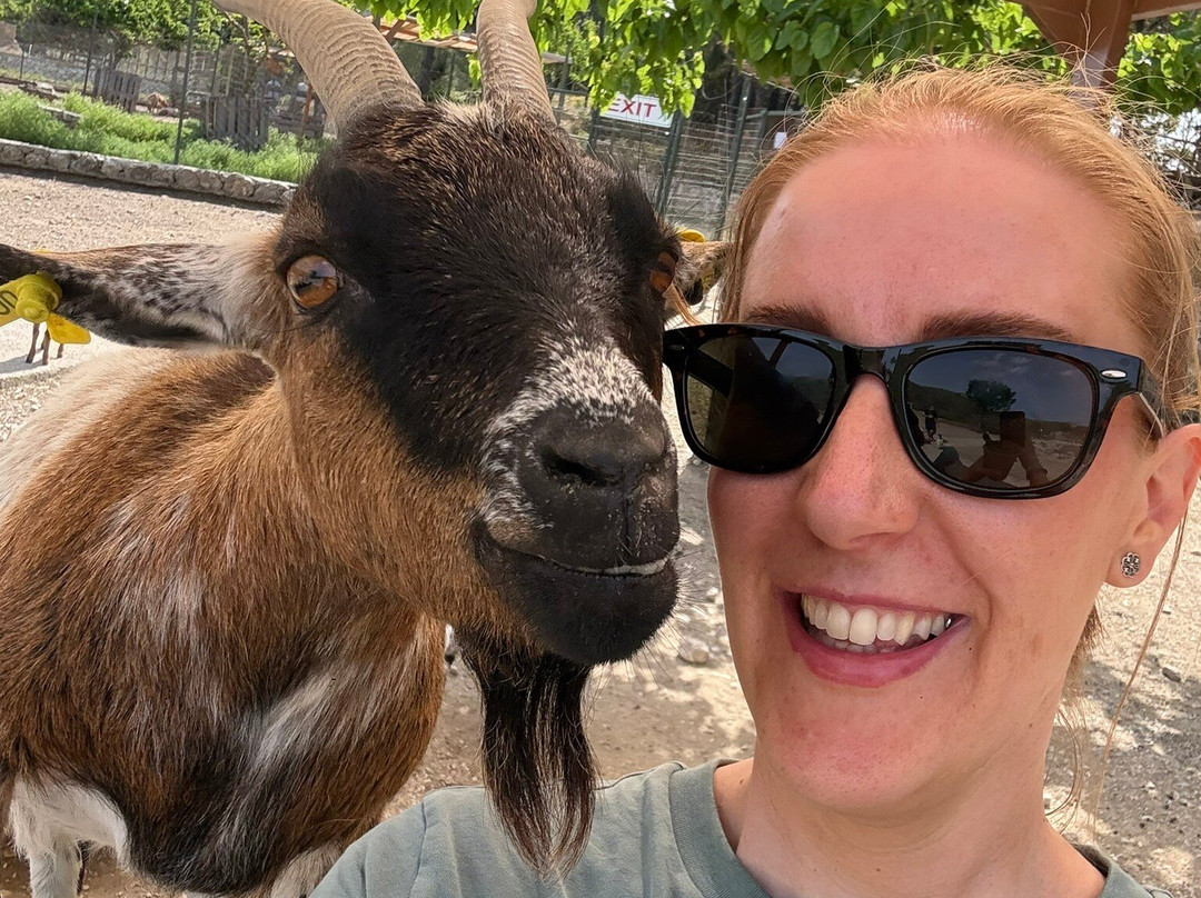 Farma of Rhodes Petting Zoo-Theologos必去景点