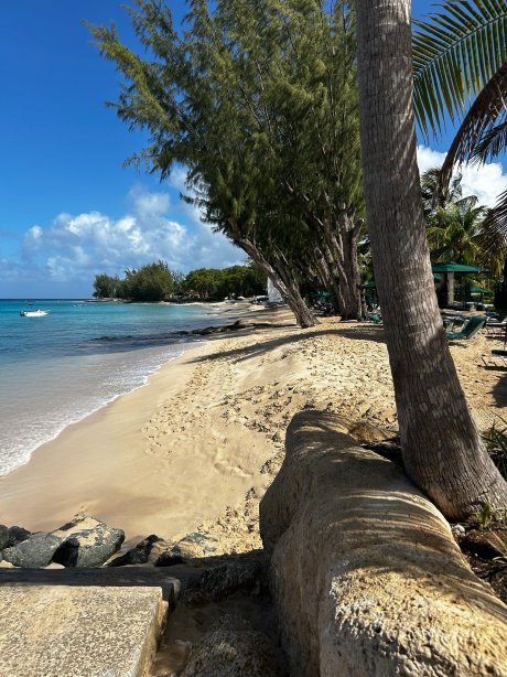 Colony Club, a Luxury Collection Resort, Barbados-旅行者