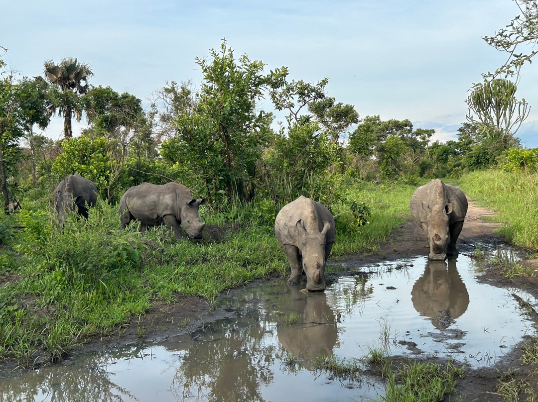 My Trip 2 Africa-Mbarara必去景点