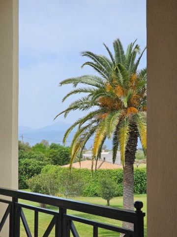 纳夫普利奥阿玛利亚酒店-旅行者