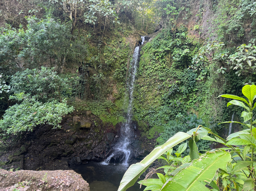 Manakin Waterfalls Nature Reserve.-Tilaran必去景点