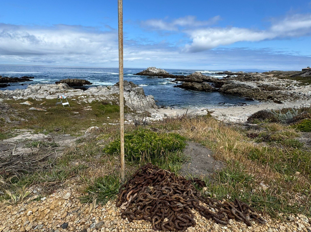 Asilomar State Beach-太平洋丛林镇必去景点