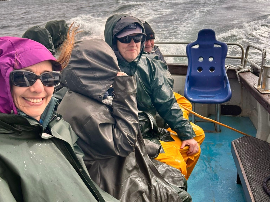 Murphys Sea Cruise To Skellig Michael-Portmagee必去景点
