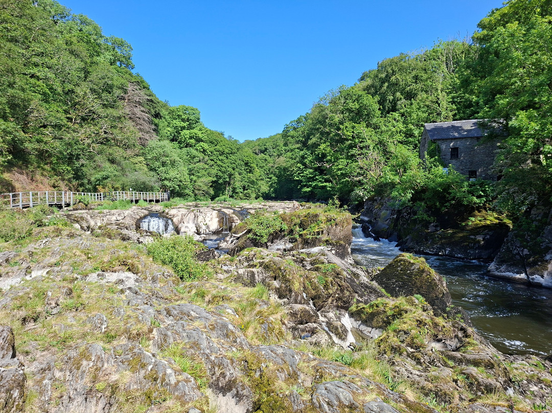 Cenarth Falls-Cenarth必去景点