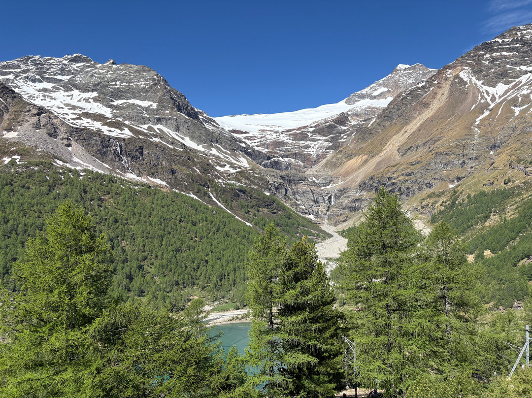 Alp Grüm-Alp Gruem必去景点