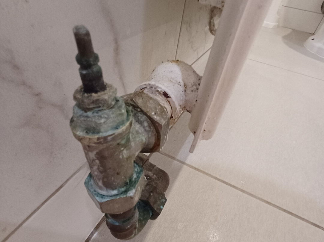 莱克斯利普庄园酒店主图
