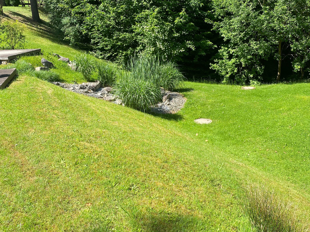 Waldhotel Grüner Baum主图