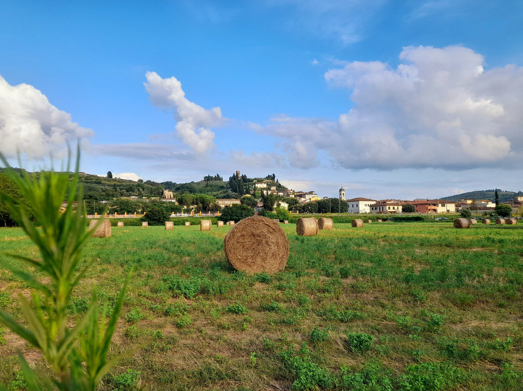 Ciclopista dell 'Arno-蒙泰卢波菲奥伦蒂诺必去景点
