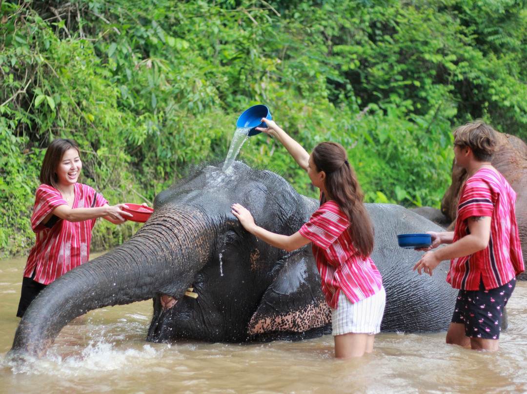 Karen Hilltribe Elephant Sanctuary-Mae Win必去景点