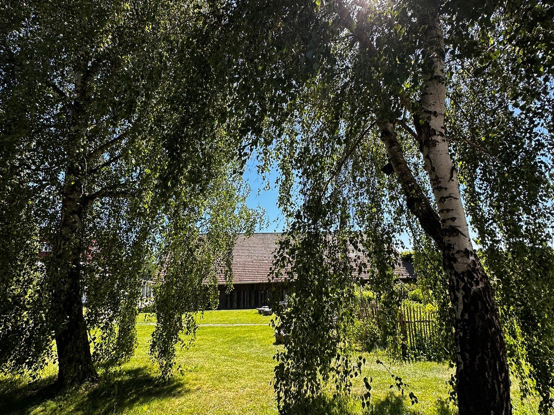 Bleiche Resort & Spa主图
