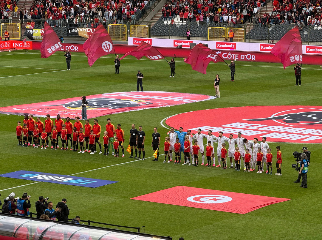 Koning Boudewijnstadion-布鲁塞尔必去景点