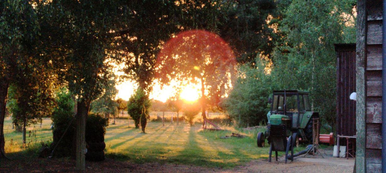 Woodman's Farm-旅行者