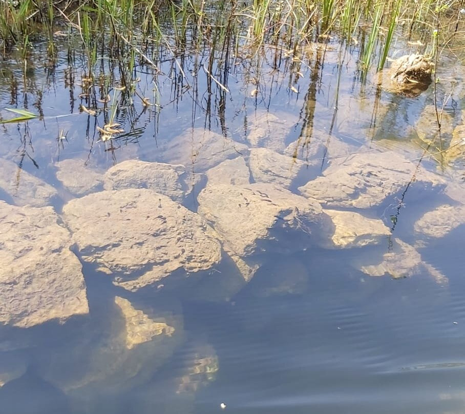 Lake Skadar-黑山共和国必去景点