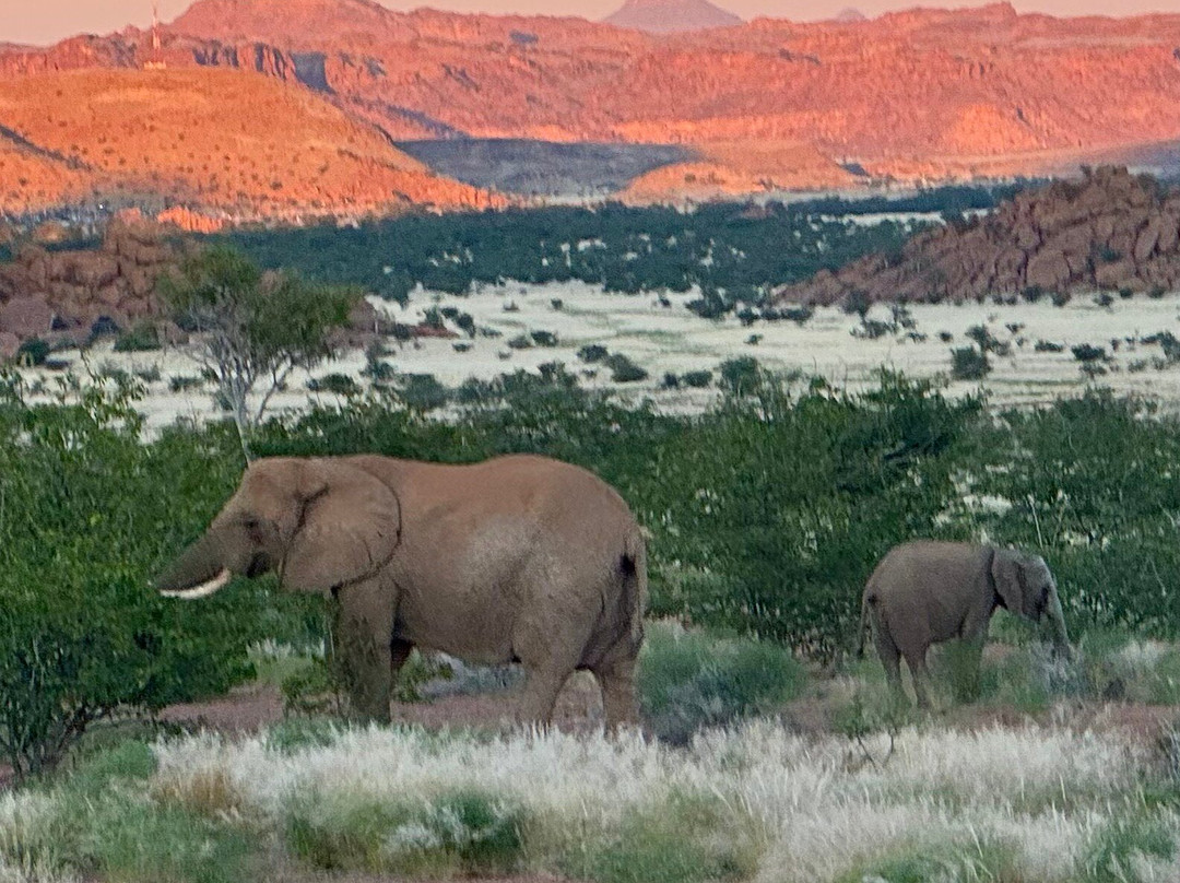 Mowani Mountain Camp