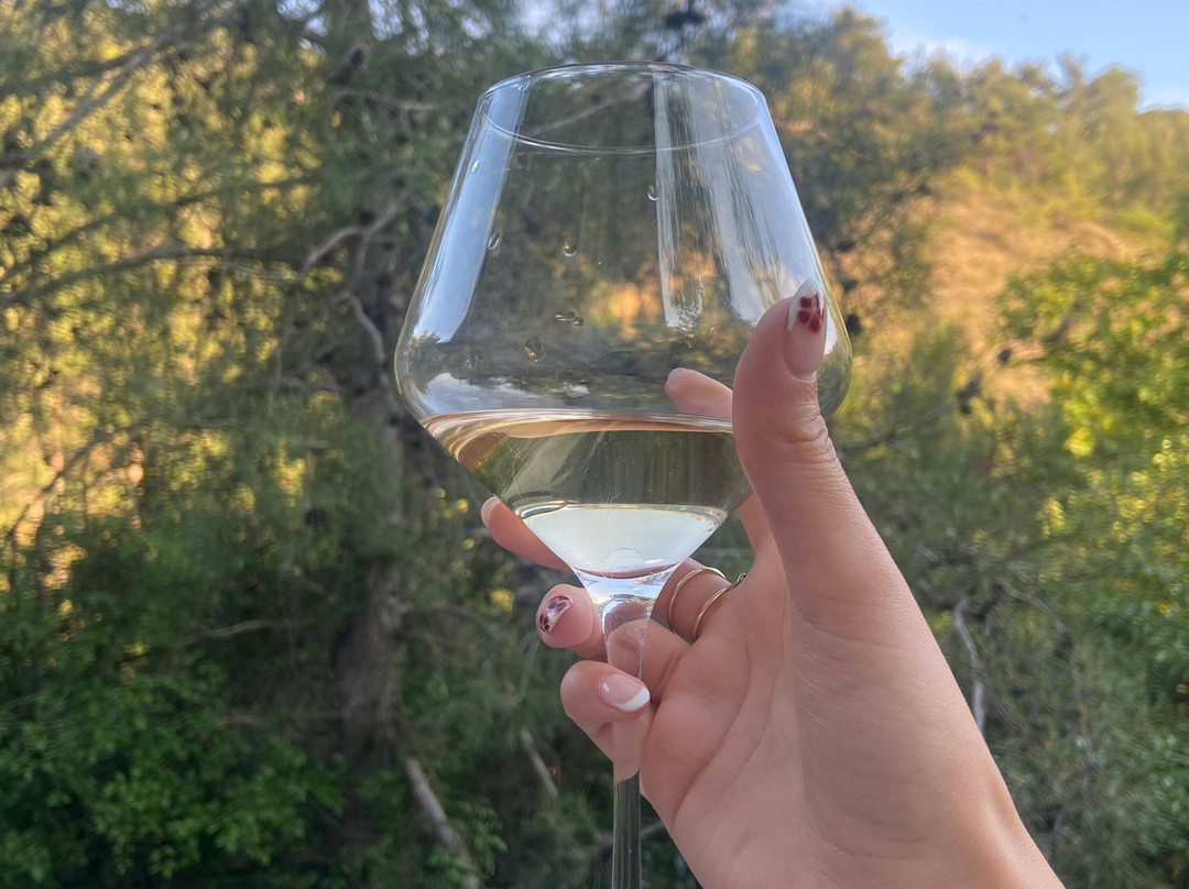 Lambouri Winery-帕拉翠斯必去景点