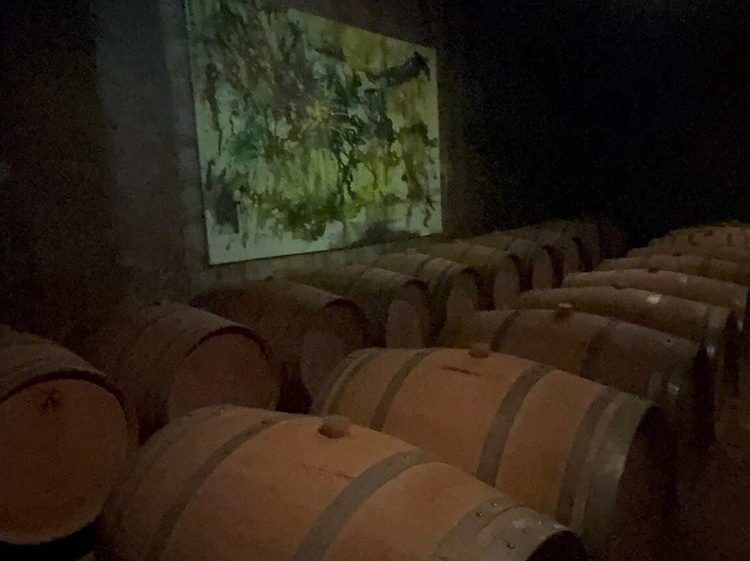 Altieri Wines - Vinorum-路冉得库约必去景点
