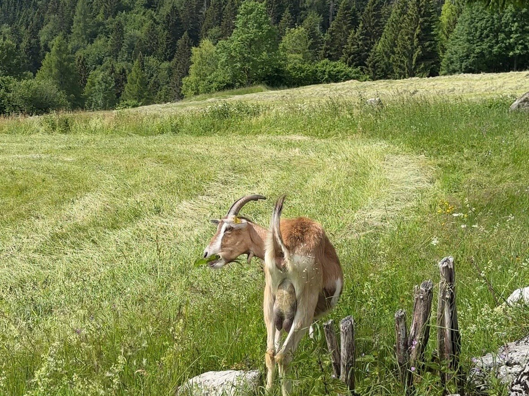 Maso Guez-San Sebastiano必去景点