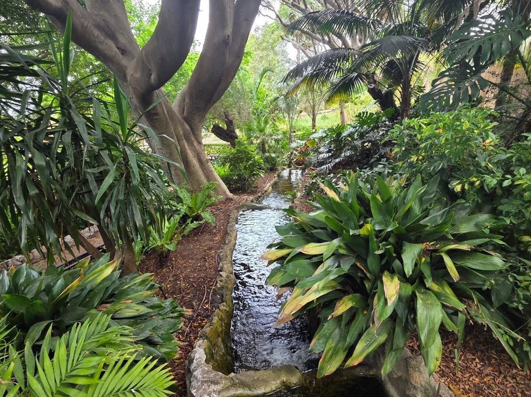 Gibraltar Botanic Gardens (The Alameda)-直布罗陀必去景点