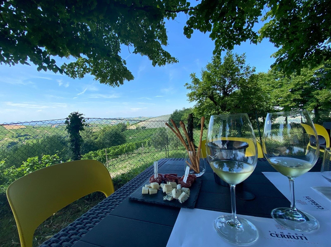 Simone Cerruti Winery-Castiglione Tinella必去景点