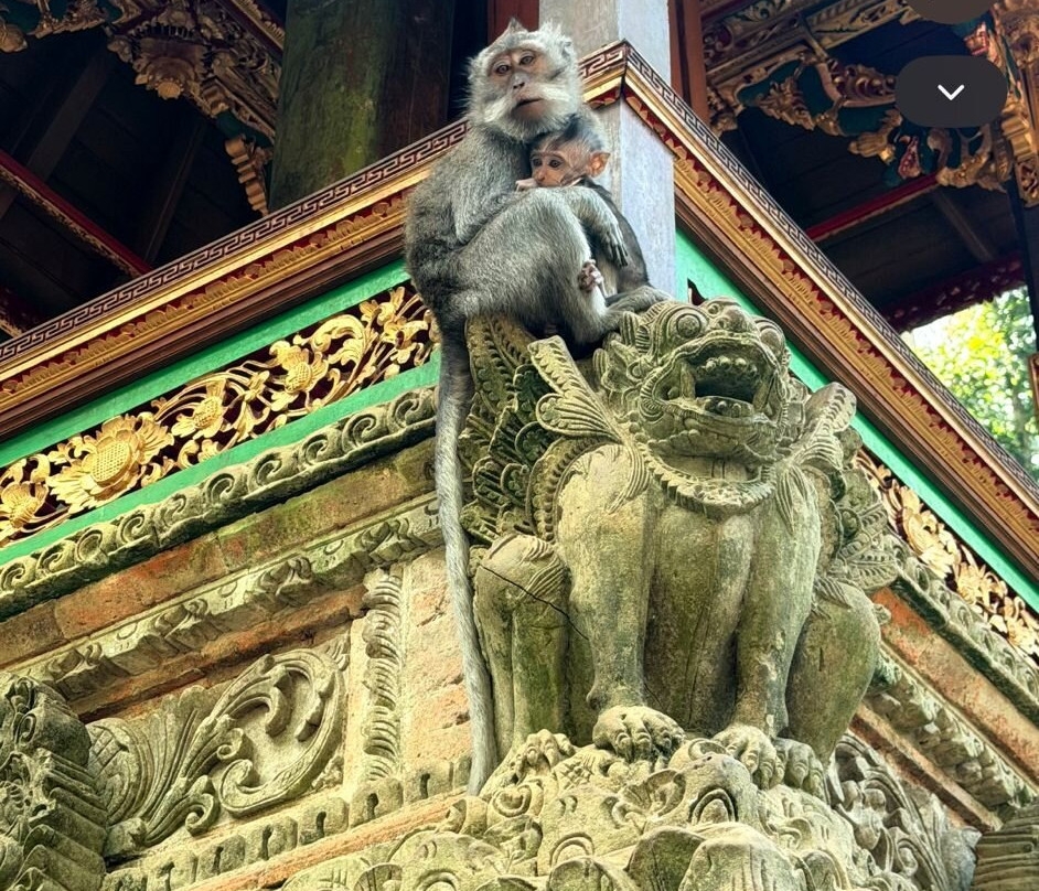 Bali Hire Driver-努沙杜瓦必去景点