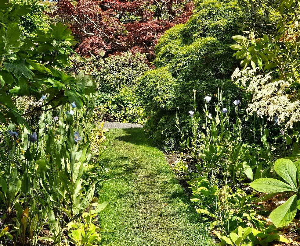 Branklyn Garden-珀斯必去景点